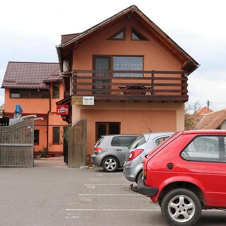 Amelia House Ξενοδοχείο Făgăraş Εξωτερικό φωτογραφία