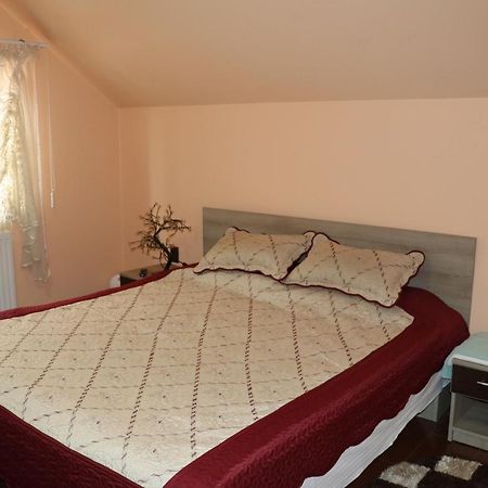 Amelia House Ξενοδοχείο Făgăraş Εξωτερικό φωτογραφία